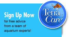 Sign Up For TetraCare